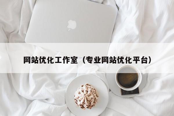 網(wǎng)站優(yōu)化工作室（專業(yè)網(wǎng)站優(yōu)化平臺(tái)）